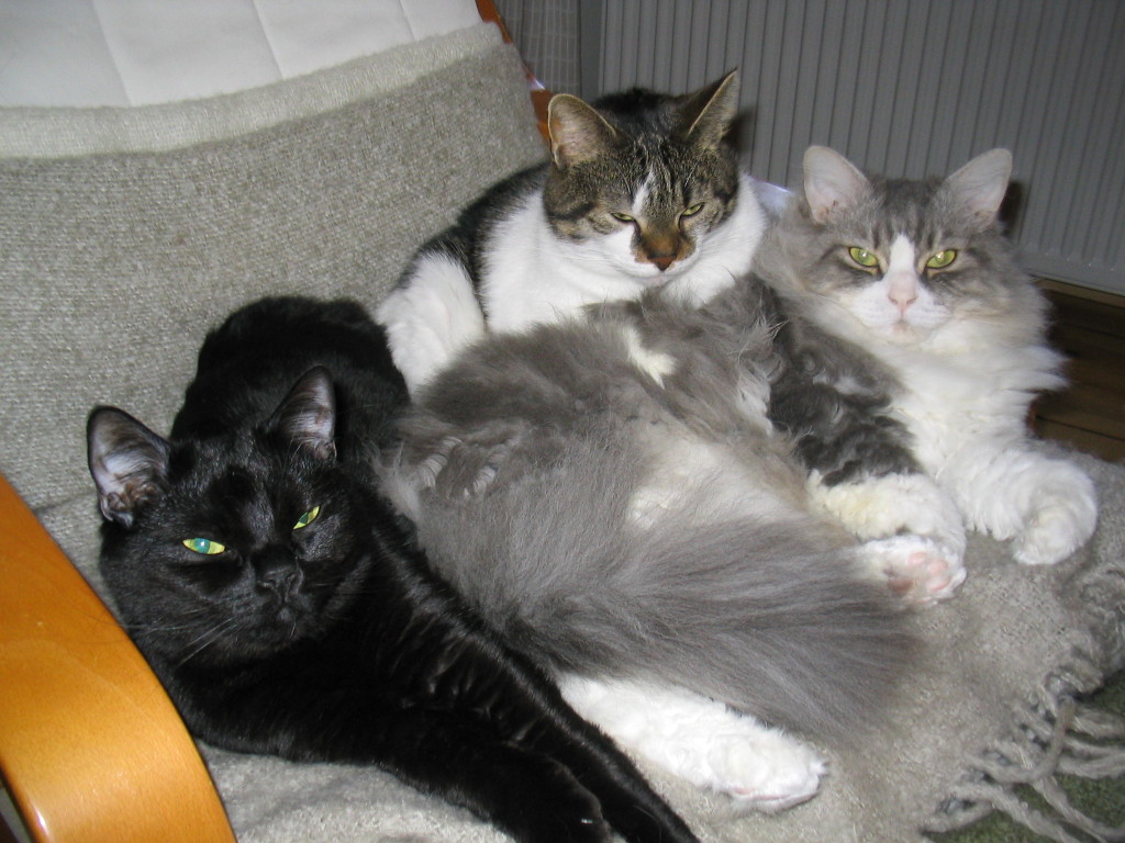 Alle 3